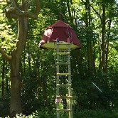 Woody Park