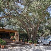 Calamigos Guest Ranch and Beach Club