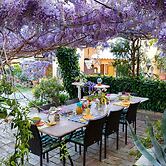 B&B Glicine