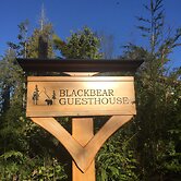 Black Bear Guesthouse