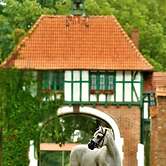 Kadyny Folwark Hotel & Spa