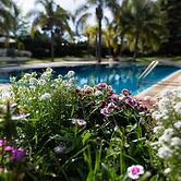 Sagú Hotel Boutique