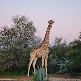 Zwartberg View Mountain Lodge