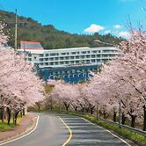 Tongyeong Dongwon Resort & Youth Hostel