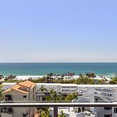 Verve on Cotton Tree