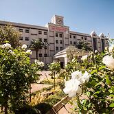 Stayeasy Eastgate