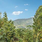 Mountain Views & Hot Tub - Your Blue Ridge Getaway