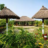 Dragon Fruit Farm Stay