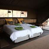 Jackalberry Tented Camp
