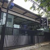 House of Arsonia Bougainvillea