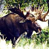 Butte's Bethel Farm B&B