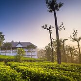 Tea Harvester Munnar