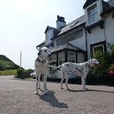 Argyll Hotel