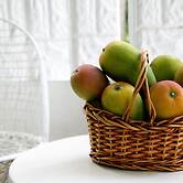 Millsborough Guest Apartments