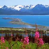 White House Inn on the Waterfront