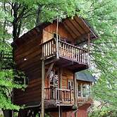 Sycamore Avenue Treehouses