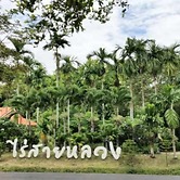 Raisailuang Resort