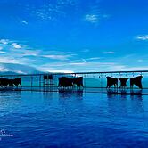 Serene Beach Hotel Danang