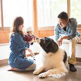 Tateshina Wan Wan Paradise Cottage