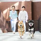 Izu-Kogen Wan Wan Paradise Hotel & Cottage