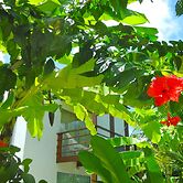 La Réserve Design Villas