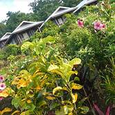 Tiavi Mountain Cabins