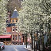 The Dolon House Bed and Breakfast