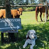 Quarrystone House B&B