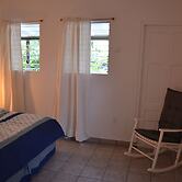 Palm Trees Apartments