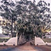 Montpellier De Tulbagh