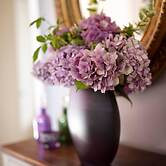 Goss Hall Bed & Breakfast