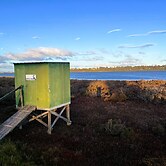 Pelican Point Tasmania
