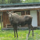 Whispering Winds Retreat B&B