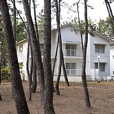 Seagaia Forest Cottages