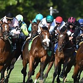 Paradise Resort and Cabins