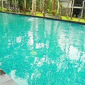 The Mountain Courtyard Thekady