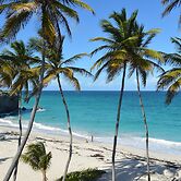 Tropical Gecko Studio