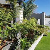 Two Fat Owls Guesthouse