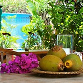 Caribbean Flower Apartments