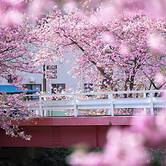 Izu Imaihama Tokyu Hotel