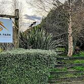 Mohua Park - Catlins Eco Accommodation