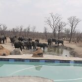 Dzibanana Lodge & Camping