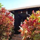 Posada Come So In The Bush