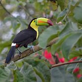 Rock Farm Guest House