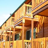 Denali Grizzly Bear Resort