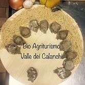 Bio Agriturismo Valle dei Calanchi