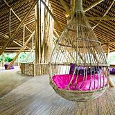 Ecolodge Bukit Lawang