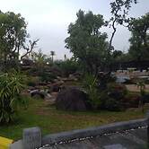 Green Garden Resort