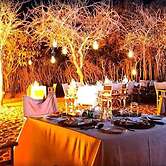 Elewana Tarangire Treetops