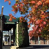 Ten Dollar Town Motel